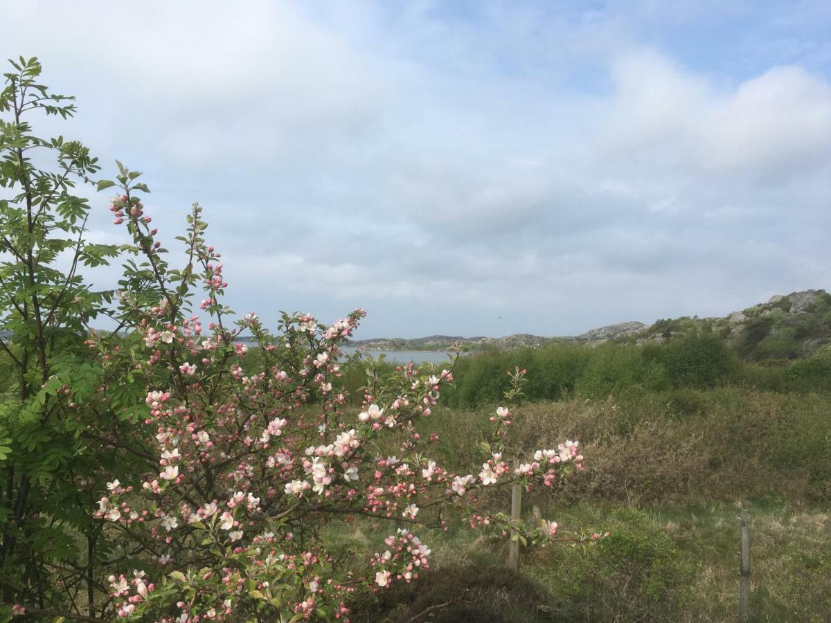 Stuga I Naturskoent Omrade Pa Vaestra Tjoern Saby Exterior photo
